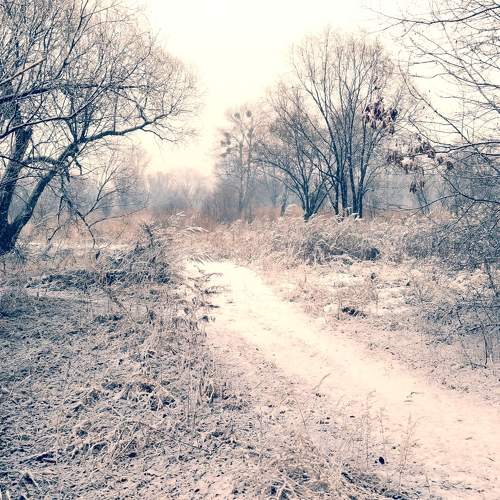 Photo #8723010