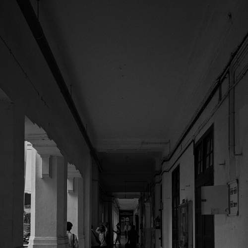 Photo #8723011