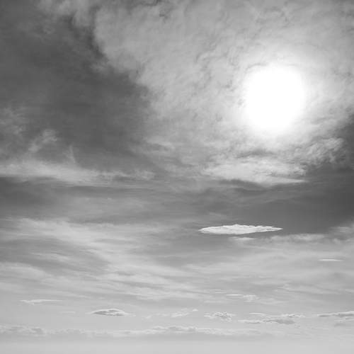 Photo #8723031