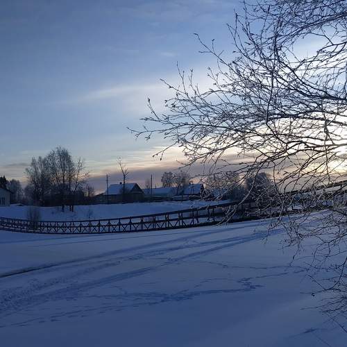 Photo #8723350