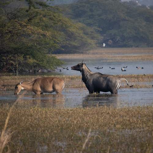 Photo #8723449