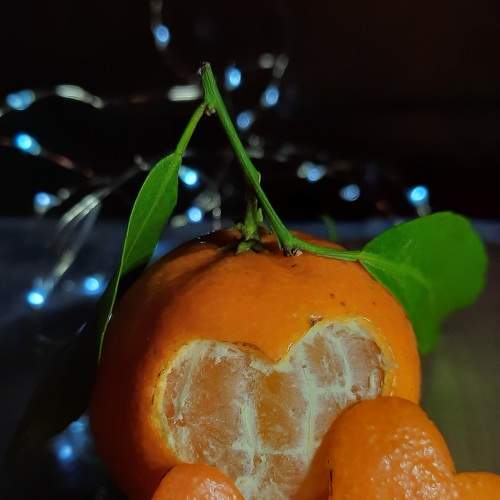 Photo #8723536