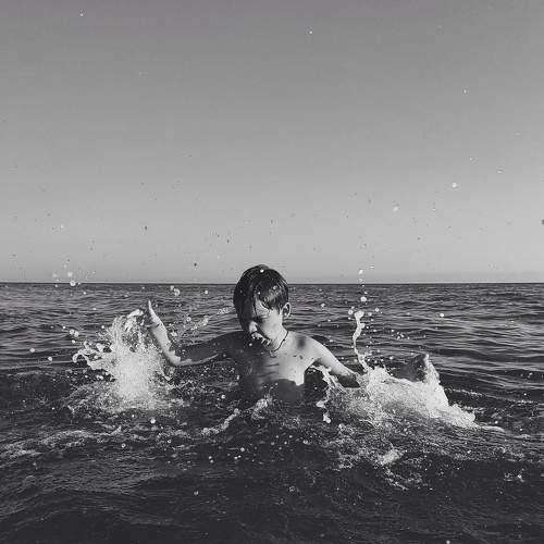 Photo #8723575