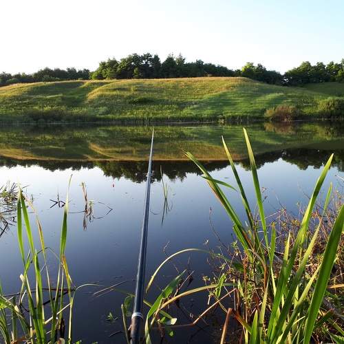 Photo #8723613