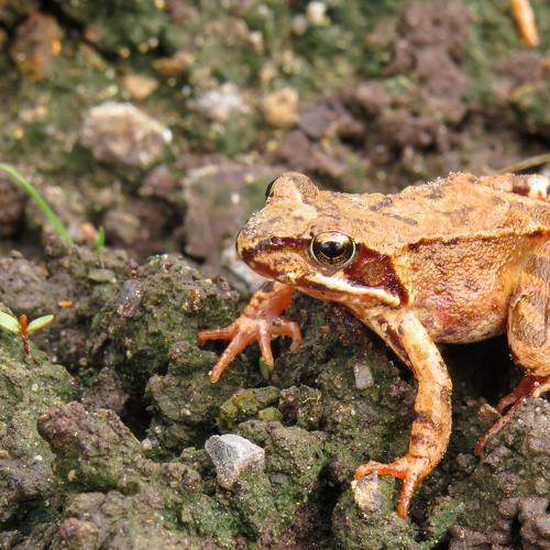 Photo #8723683