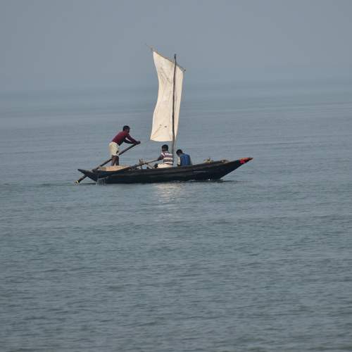 Photo #8723699