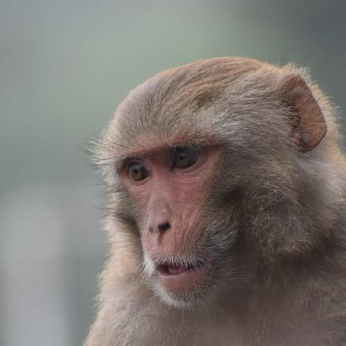 Photo #8723727