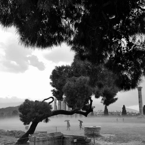Photo #8723797