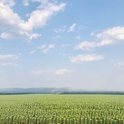 Photo #8723837