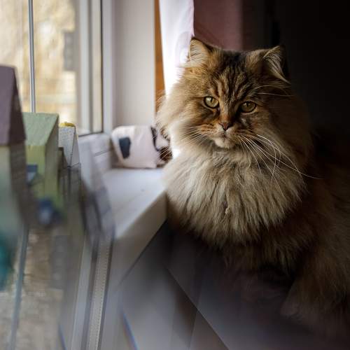 Фотография #8723913