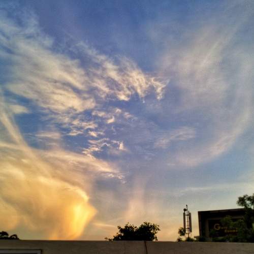 Photo #8724241