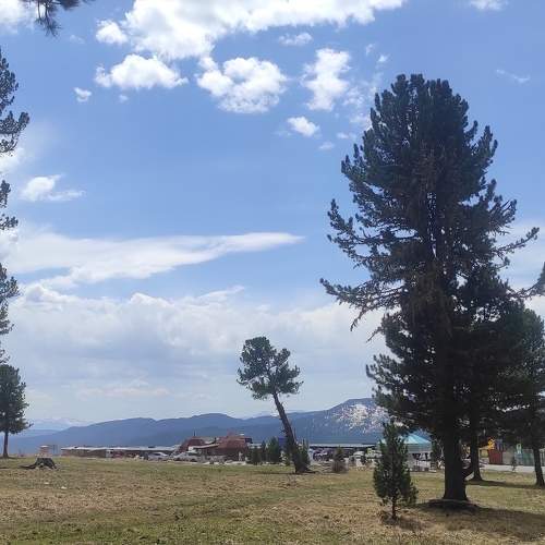 Photo #8724433