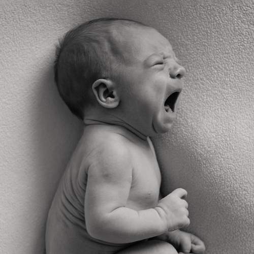 Photo #8724510
