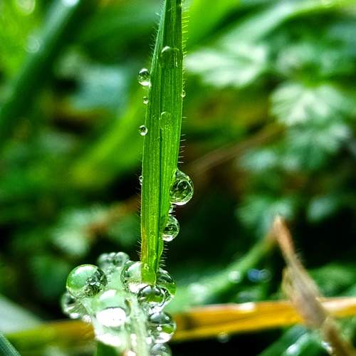 Photo #8724811