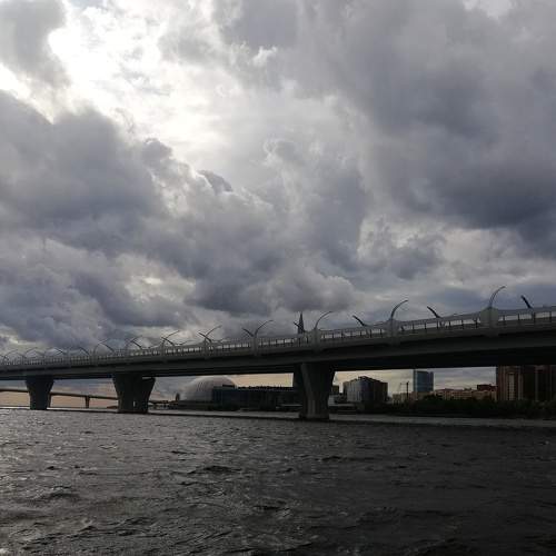 Photo #8724858