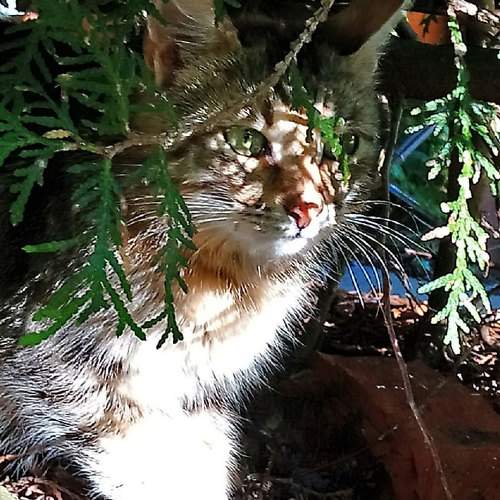 Photo #8724991