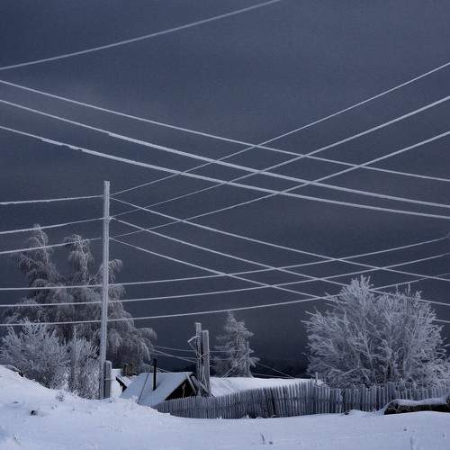 Photo #8725002