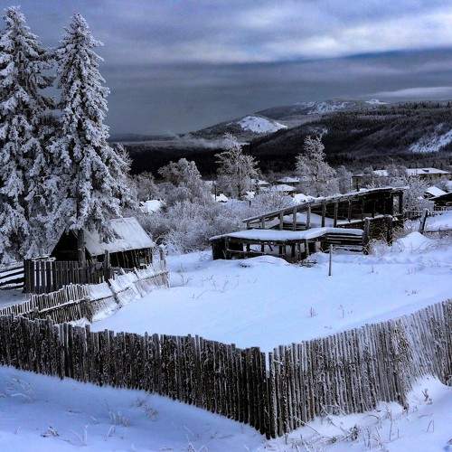 Photo #8725067