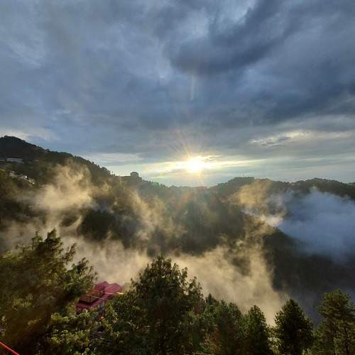 Photo #8725296