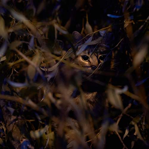 Photo #8725303