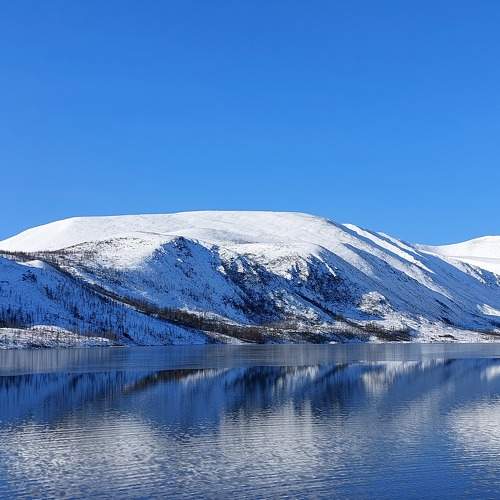 Photo #8725627