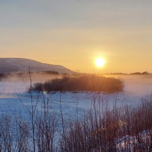 Photo #8725648