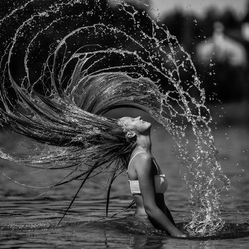 Photo #8725987