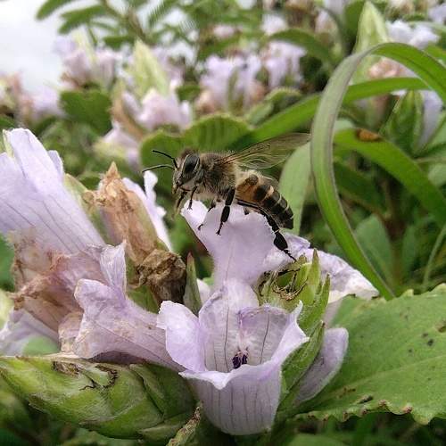 Photo #8725992
