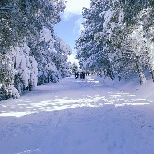Photo #8726165