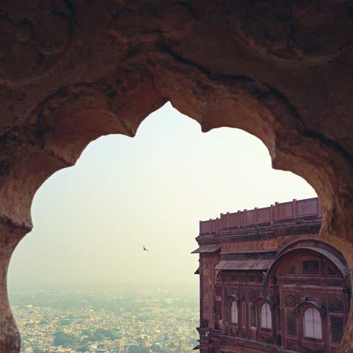 Photo #8726603