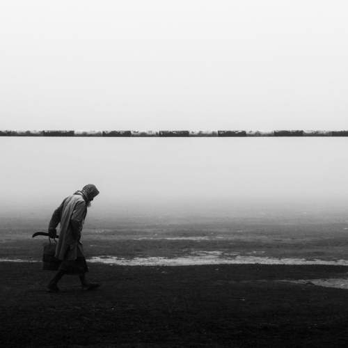 Photo #8726841