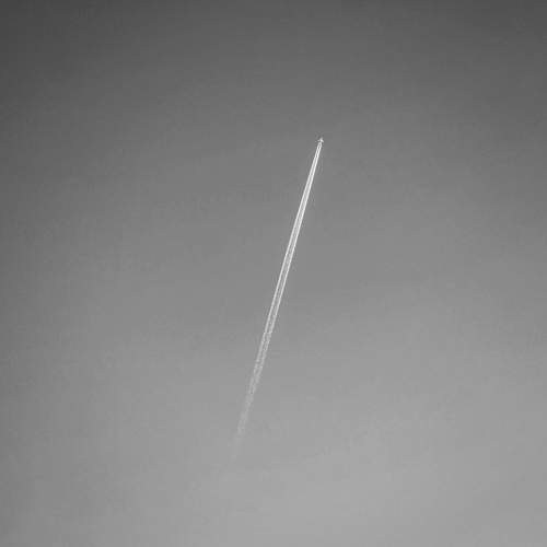 Photo #8726847