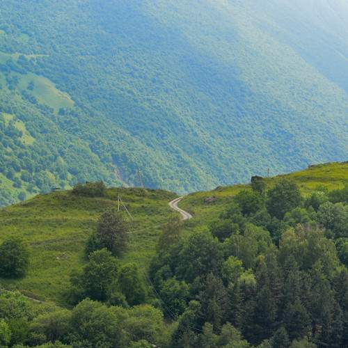 Photo #8727081