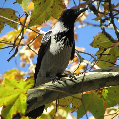 Photo #8727248