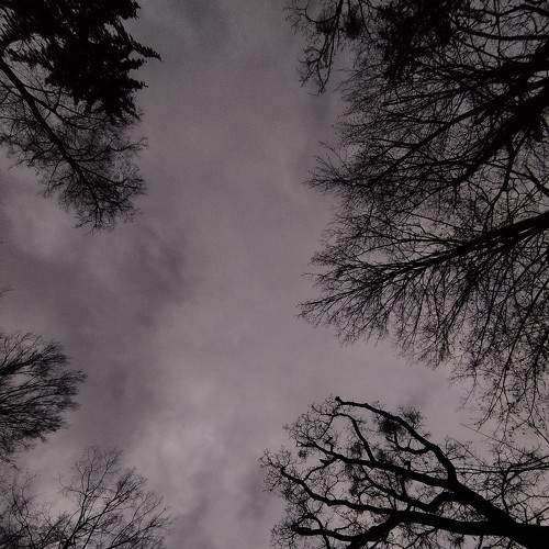 Photo #8727410