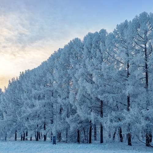 Photo #8727651