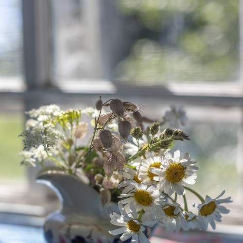Photo #8727719