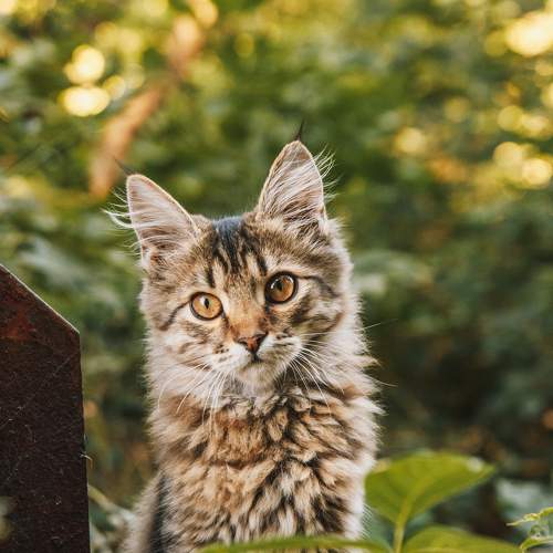 Photo #8727886