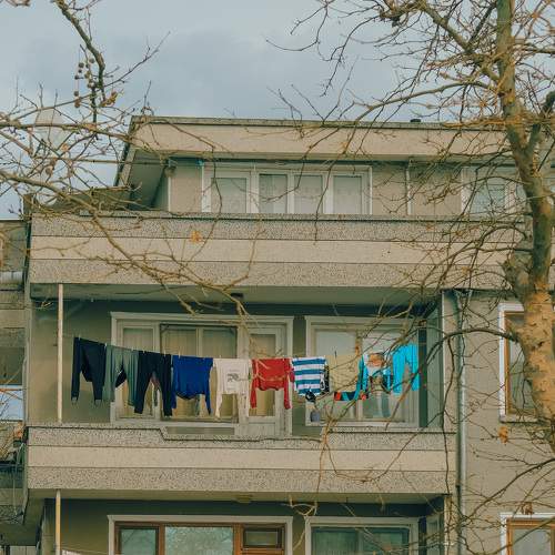 Photo #8727941