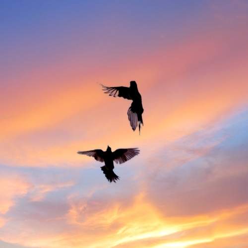 Photo #8728455