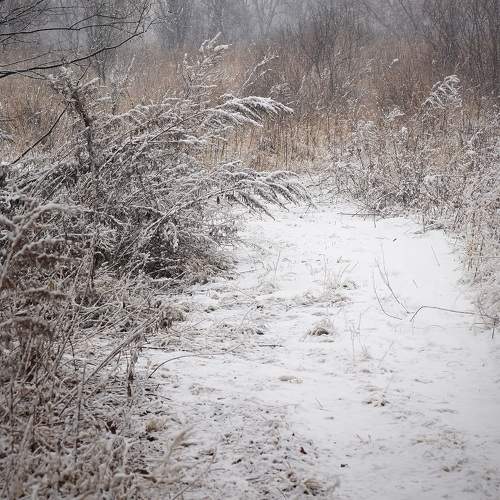 Photo #8728516