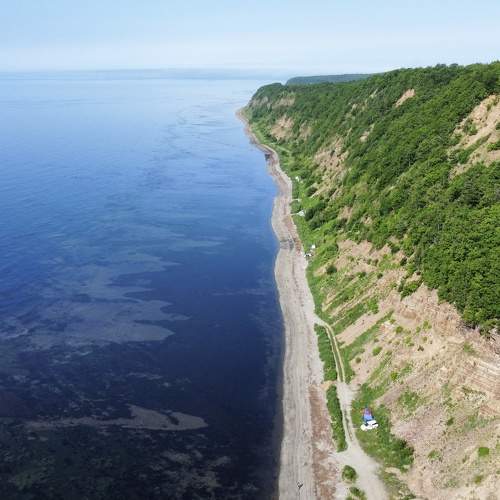 Photo #8728674