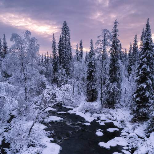 Photo #8728754