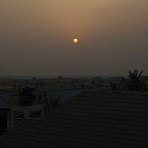 Photo #8728791