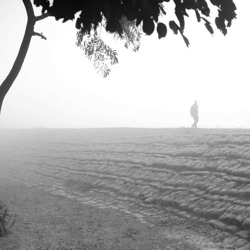 Photo #8728871