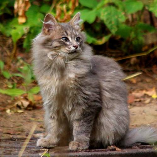 Photo #8728949