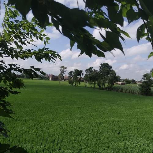 Photo #8728976