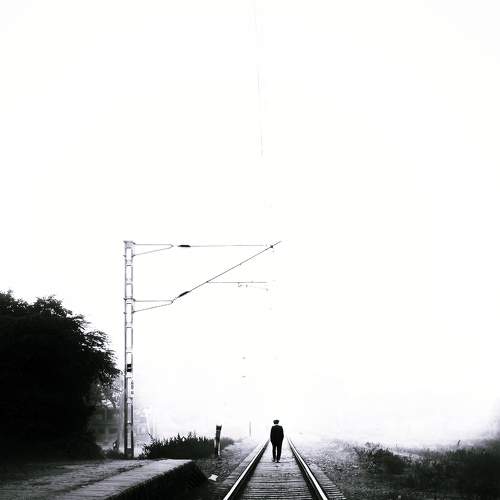 Photo #8729023