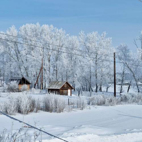 Photo #8729092