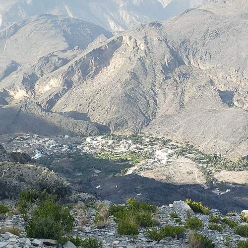 Photo #8729114